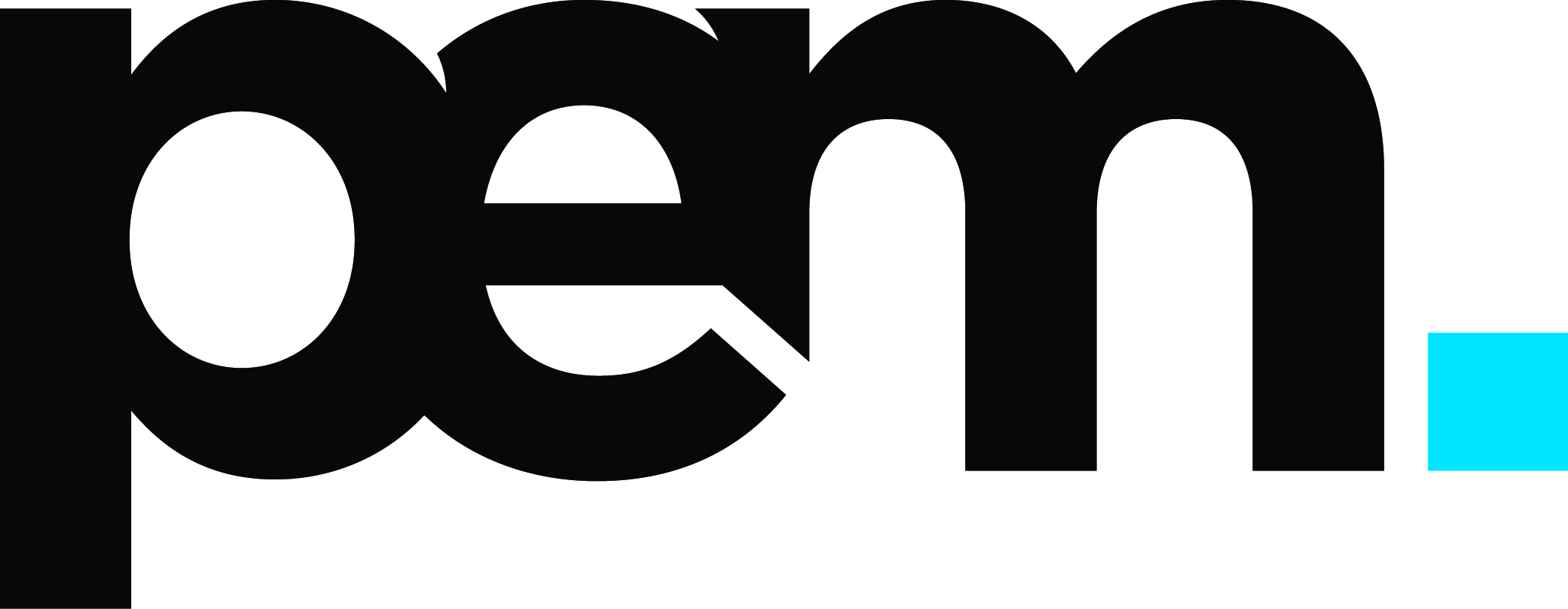 PEM Logo